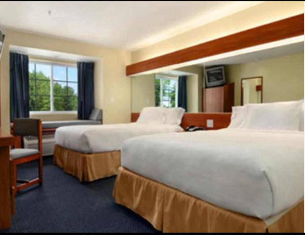 Microtel Inn & Suites Huntsville Rum bild